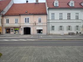 Mačkova hiša bo dobila nove vsebine