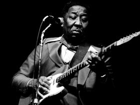 Muddy Waters, pojem čikaškega Bluesa