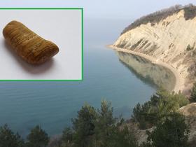 Mladi naravovarstvenik Luka se je oglasil!