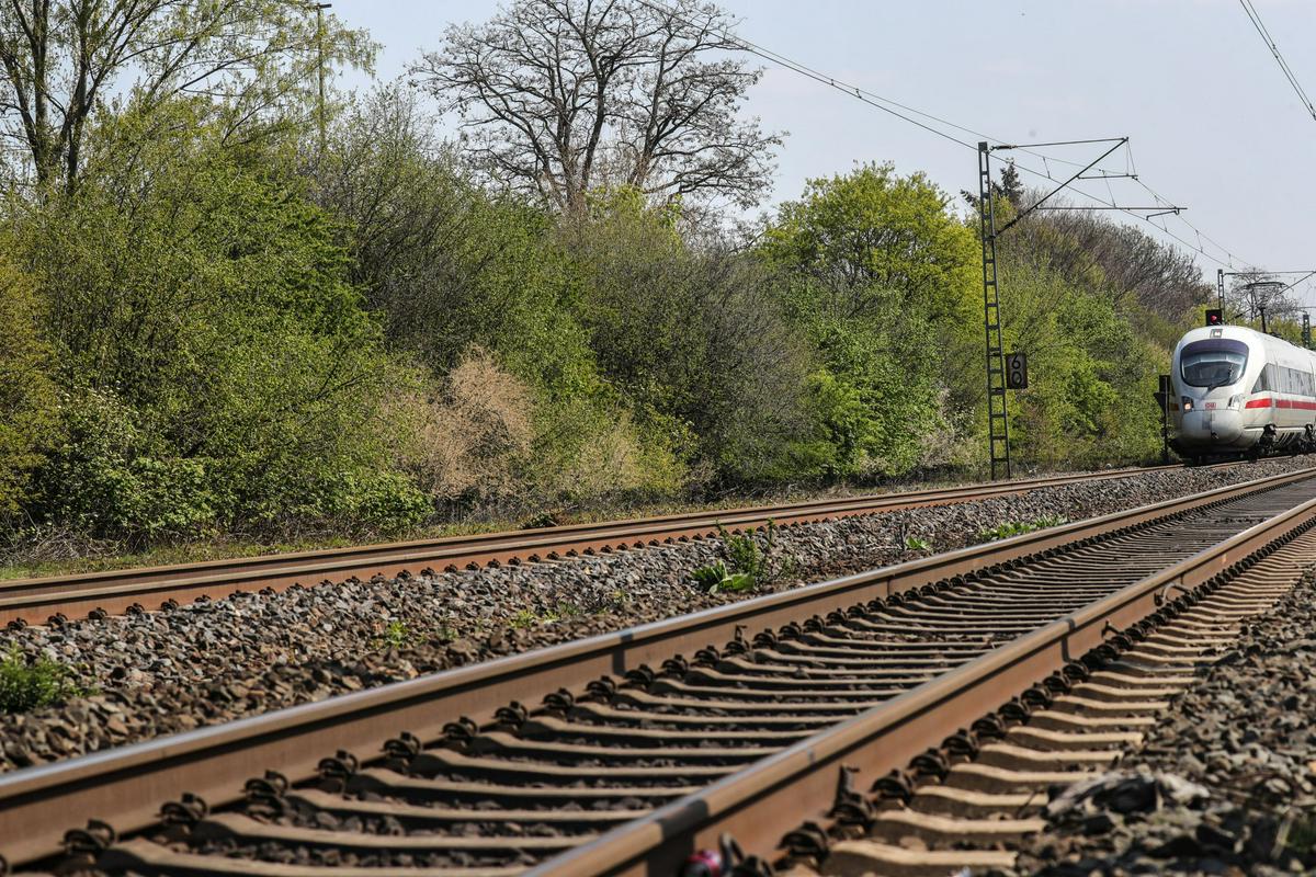 Prednosti dopisniškega dela v Nemčiji je bil transport, ki je bil hiter in učinkovit, kar ne velja za Srbijo. Ta pa ima prednost pri dostopnostih sogovornikov, kjer lahko kot novinar dobiš precej več pomembnih gostov. Foto: EPA Prednosti dopisniškega dela v Nemčiji je bil transport, ki je bil hiter in učinkovit, kar ne velja za Srbijo. Ta pa ima prednost pri dostopnostih sogovornikov, kjer lahko kot novinar dobiš precej več pomembnih gostov. Foto: EPA