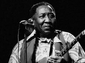 Oče čikaškega bluesa, gospod Muddy Waters!