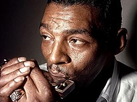 Little Walter, blues ustne harmonike