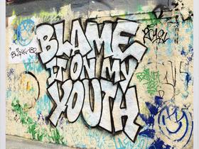 Blink 182 - Blame It On My Youth