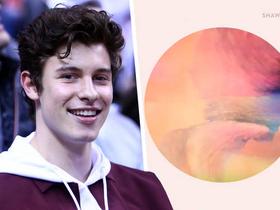 Shawn Mendes - If I Can't Have You
