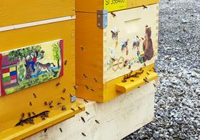 Drugi svetovni dan čebel. Od njih odvisna vsaka tretja žlica hrane. 