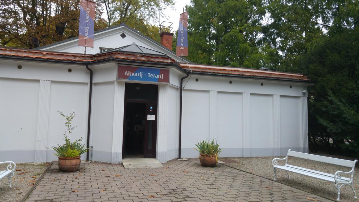 Foto: Radio Maribor/Vesna Martinec
