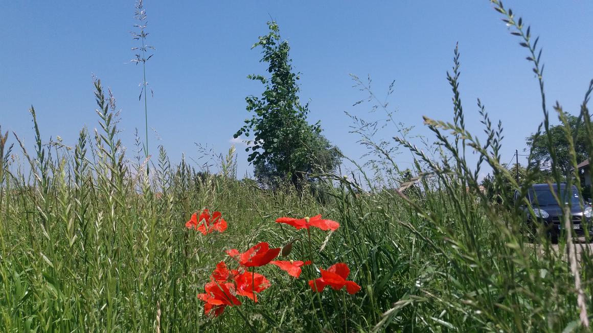 Foto: Radio Maribor/Tamara Zupanič Čučnik