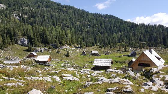 Planinke in planinci so lani največ glasov namenili krožni planinski poti: Planina Blato – Planina pri Jezeru – Planina Dedno polje – Vrata (pod Zelnarico) – Prehodavci – Dvojno jezero – Štapce – Ovčarija – Planina pri Jezeru – Planina Blato. Foto: Zavarovalnica Triglav