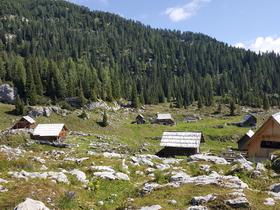 Planinke in planinci so lani največ glasov namenili krožni planinski poti: Planina Blato – Planina pri Jezeru – Planina Dedno polje – Vrata (pod Zelnarico) – Prehodavci – Dvojno jezero – Štapce – Ovčarija – Planina pri Jezeru – Planina Blato. Foto: Zavarovalnica Triglav
