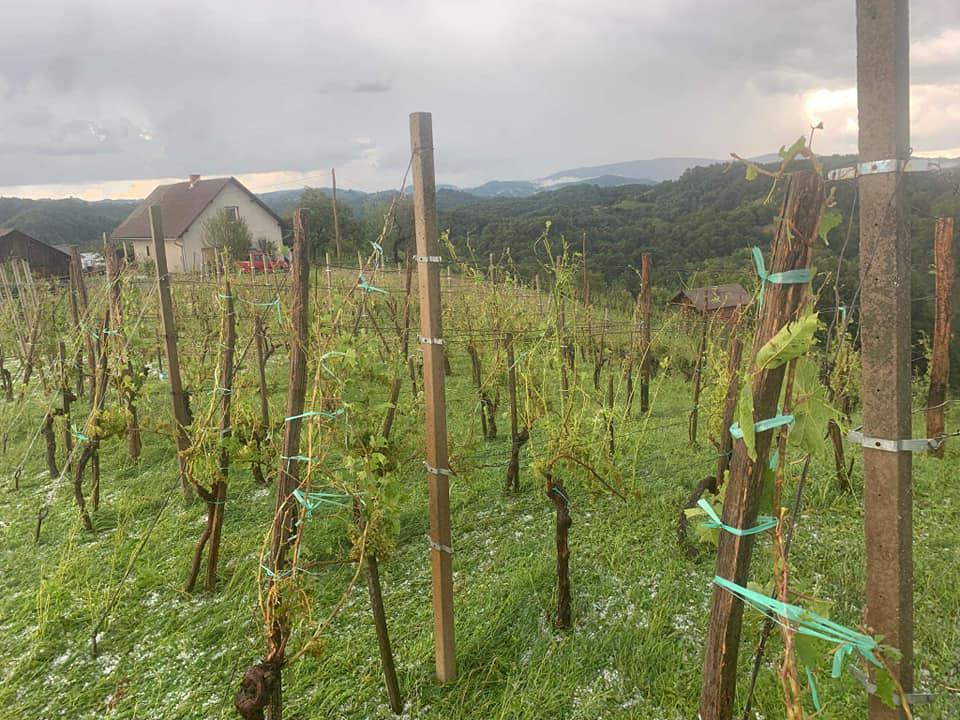 Toča je uničevala pridelek. Foto: Sandi Gabrovec Toča je uničevala pridelek. Foto: Sandi Gabrovec