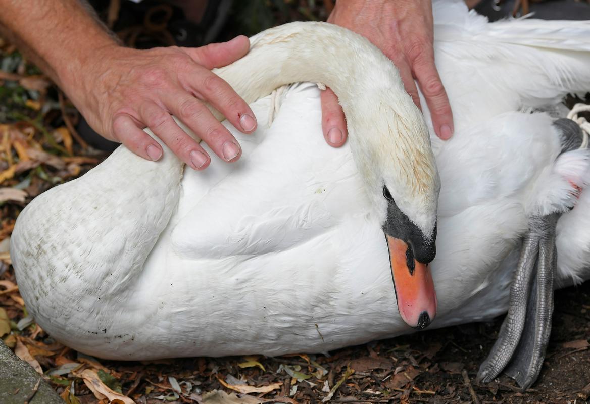 Foto: Reuters Foto: Reuters