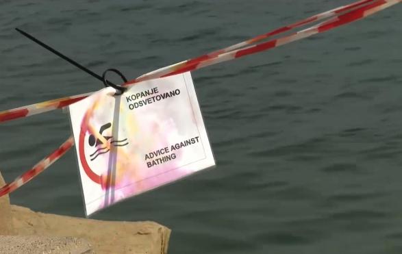 Pregled je bil eden izmed zadnjih korakov akcijskega načrta, ki je bil oblikovan po onesnaženju morja v Žusterni. Foto: TV Slovenija Pregled je bil eden izmed zadnjih korakov akcijskega načrta, ki je bil oblikovan po onesnaženju morja v Žusterni. Foto: TV Slovenija