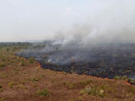 Brazil to start tackle Amazon fires with army