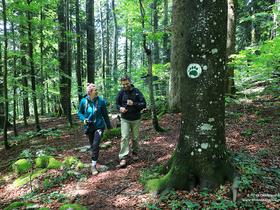 Slovenia's Hidden Gems Finalist#10: Wilderness of Kočevski Rog