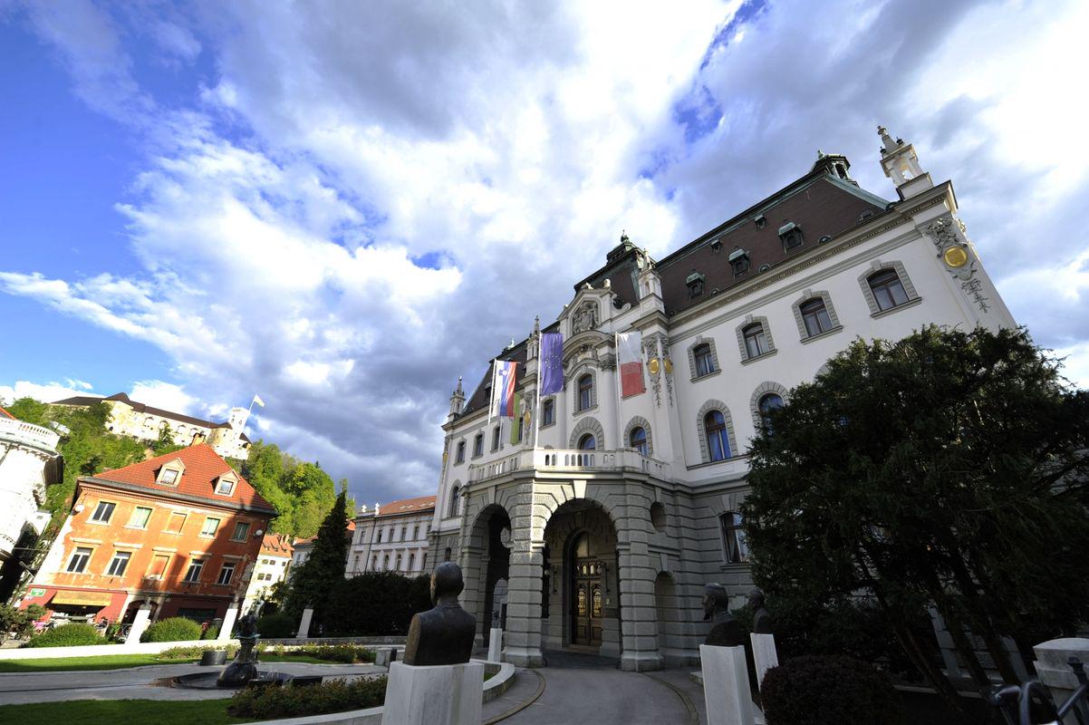 Začasno narodno predstavništvo v Beogradu je 16. julija 1919 sprejelo zakon o Univerzi v Ljubljani, v katero so bile vključene popolne pravna, filozofska, tehniška in teološka ter nepopolna (dvoletna) medicinska fakulteta. 31. avgusta je bilo imenovanih prvih 18 profesorjev, 12. novembra so izvolili rektorja in dekane, 3. decembra istega leta pa je, kot omenjeno, potekalo prvo predavanje. Foto: MMC RTV SLO Začasno narodno predstavništvo v Beogradu je 16. julija 1919 sprejelo zakon o Univerzi v Ljubljani, v katero so bile vključene popolne pravna, filozofska, tehniška in teološka ter nepopolna (dvoletna) medicinska fakulteta. 31. avgusta je bilo imenovanih prvih 18 profesorjev, 12. novembra so izvolili rektorja in dekane, 3. decembra istega leta pa je, kot omenjeno, potekalo prvo predavanje. Foto: MMC RTV SLO