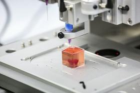 V ZDA s tiskalnikom 3D natisnili funkcionalne dele človeškega srca