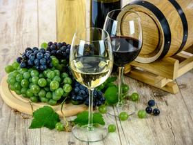 "Pridi in poglej mlado vino"