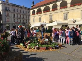 Lokalno pridelana hrana hitreje pri potrošniku