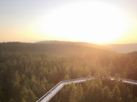 Baumwipfelpfad auf Rogla eröffnet