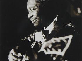 Mr. King of the Blues