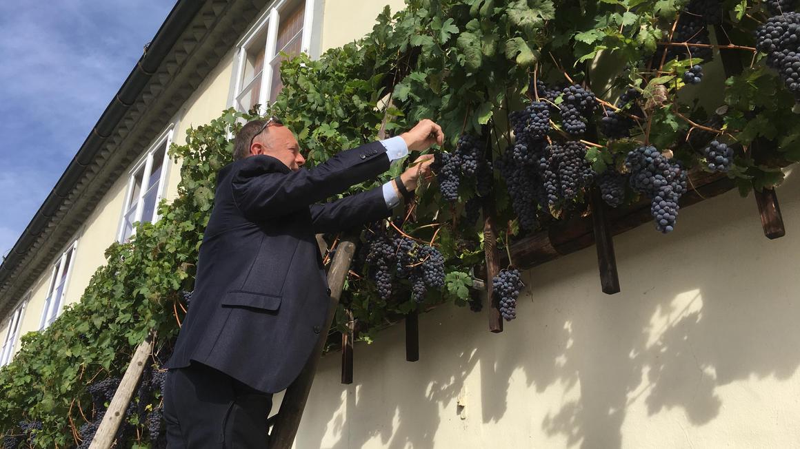 Foto: Radio Maribor/Bratko Zavrnik