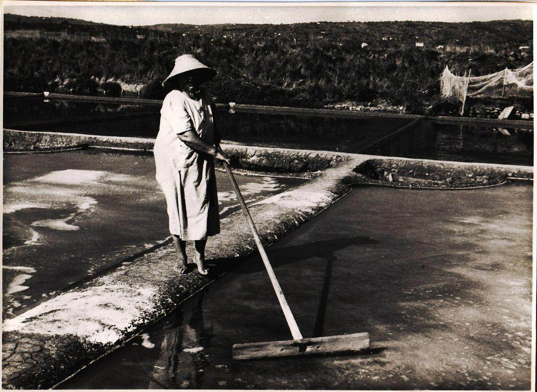 Zgodba o solinarkah, ki jo je z arhivskim materialom upovedala Helena Pirc, je dobila nagrado COPEAM za najboljši kratki film iz arhivskega materiala. Foto: Pokrajinski arhiv Koper Zgodba o solinarkah, ki jo je z arhivskim materialom upovedala Helena Pirc, je dobila nagrado COPEAM za najboljši kratki film iz arhivskega materiala. Foto: Pokrajinski arhiv Koper