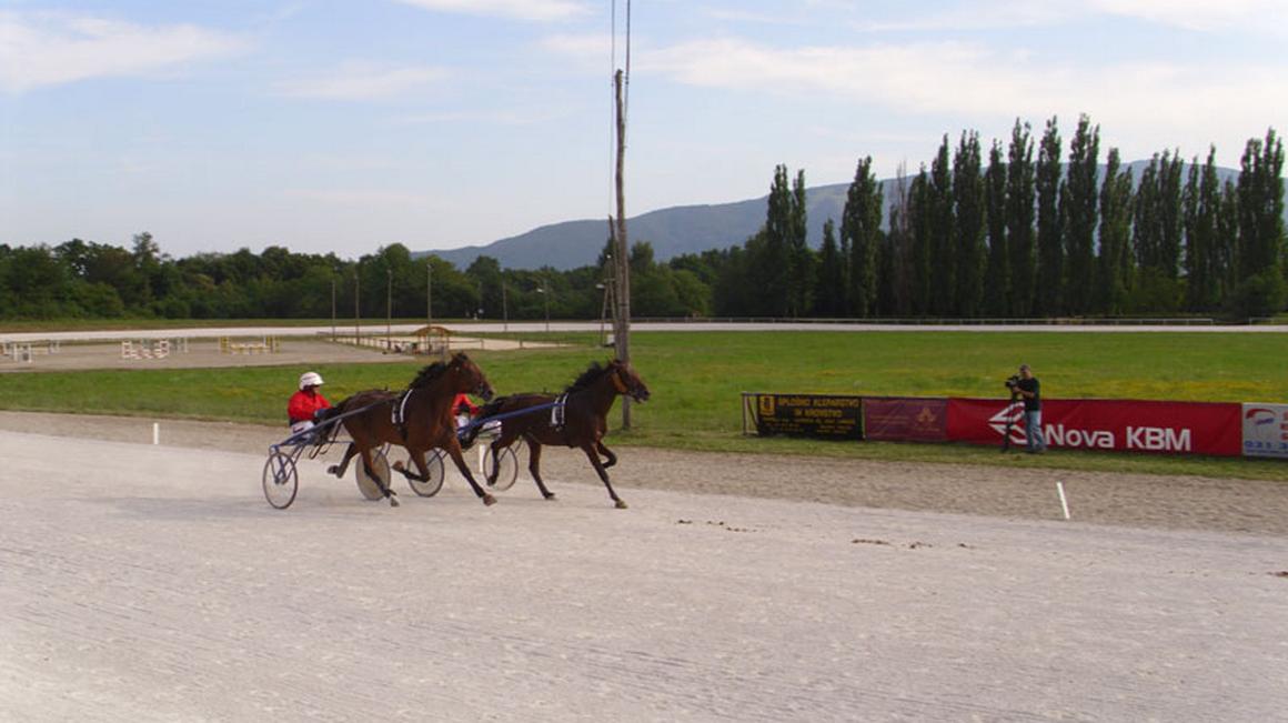Foto: Oglasno sporočilo/Športni objekti Maribor