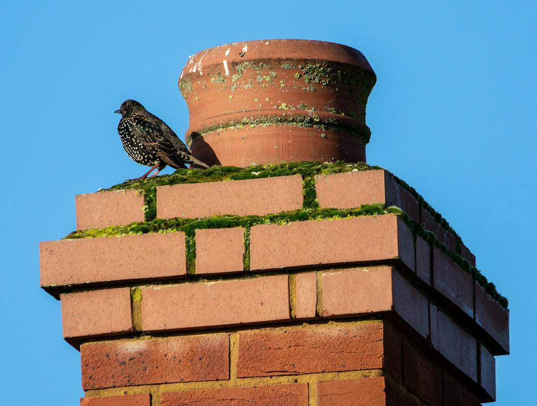 Zakaj je moški želel v hišo priti skozi dimnik, ni jasno. Morda pa si je domišljal, da je Božiček? (Fotografija je simbolična.) Foto: Pixabay Zakaj je moški želel v hišo priti skozi dimnik, ni jasno. Morda pa si je domišljal, da je Božiček? (Fotografija je simbolična.) Foto: Pixabay