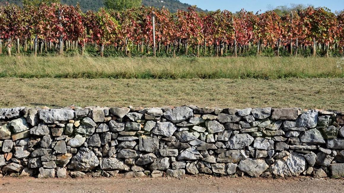 Večina suhozidov, ki jih danes vidimo na Krasu, je bila zgrajena pred več kot sto leti, veliko njih je starih več stoletij ali celo tisočletij. Foto: Radio Koper/Nataša Kolenc