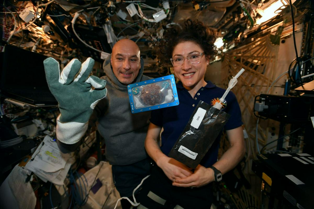 Surovi piškot. Foto: Nasa/Christina Koch Surovi piškot. Foto: Nasa/Christina Koch