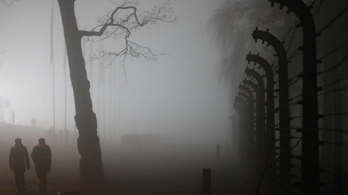 Foto: RTVSLO