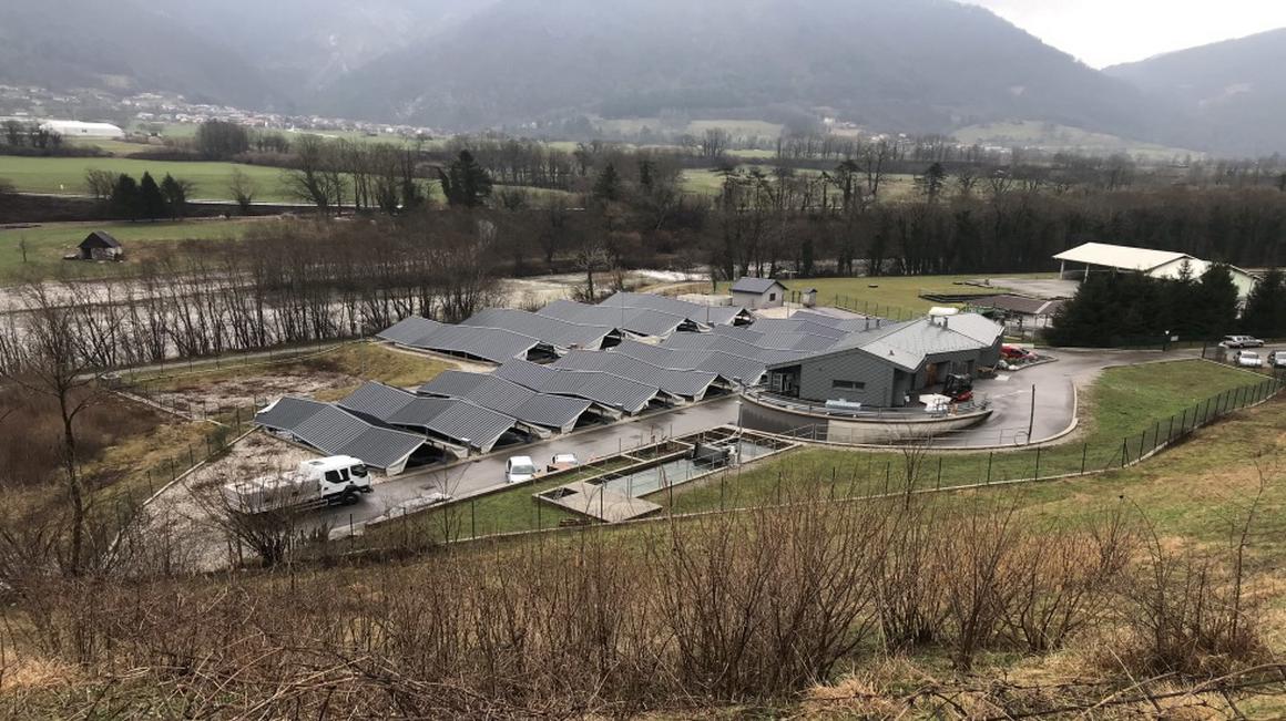V Ribogojnici Faronika ribe poskušajo prodati trgovinam, nekaj jih predelajo v druge izdelke in jim tako podaljšajo rok uporabe. Foto: Radio Koper