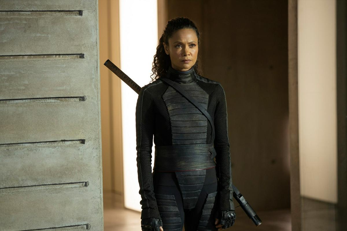 Thandie Newton bo prihodnje leto zaigrala v filmskem prvencu Lise Joy (Reminiscence). Foto: IMDb Thandie Newton bo prihodnje leto zaigrala v filmskem prvencu Lise Joy (Reminiscence). Foto: IMDb