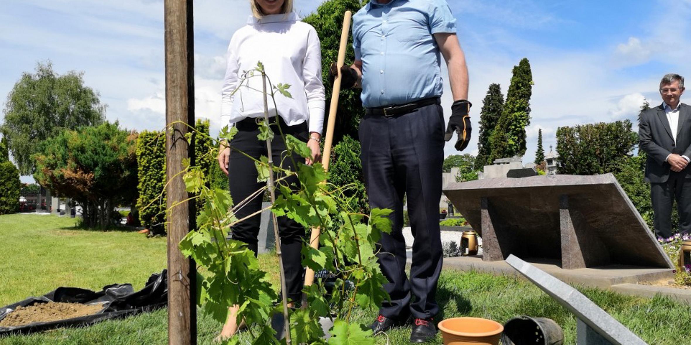 Direktorica Pogrebnega podjetja Maribor in predsedujoča združenju evropsko pomembnih pokopališč Lidije Pliberšek in mariborski mestni viničar Stane Kocutar. Foto: Radio Maribor/Aljaž Mejal
