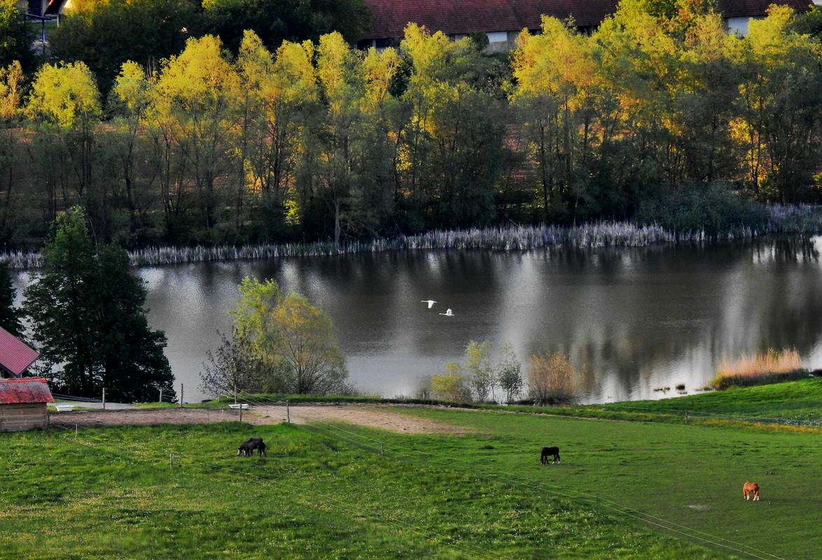 Foto: Javni zavod Sotočje Medvode Foto: Javni zavod Sotočje Medvode