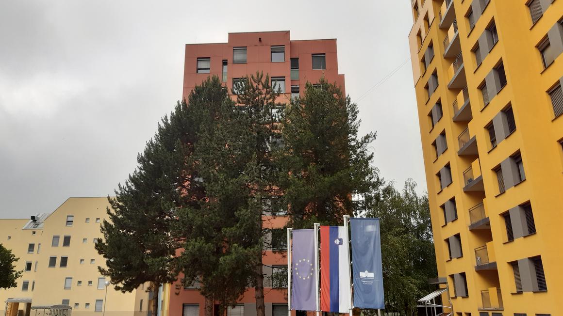 Foto: MMC RTV SLO/Tamara Zupanič Čučnik