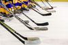 Sezona Lige NHL se bo 1. avgusta nadaljevala v Kanadi. Foto: Pixabay