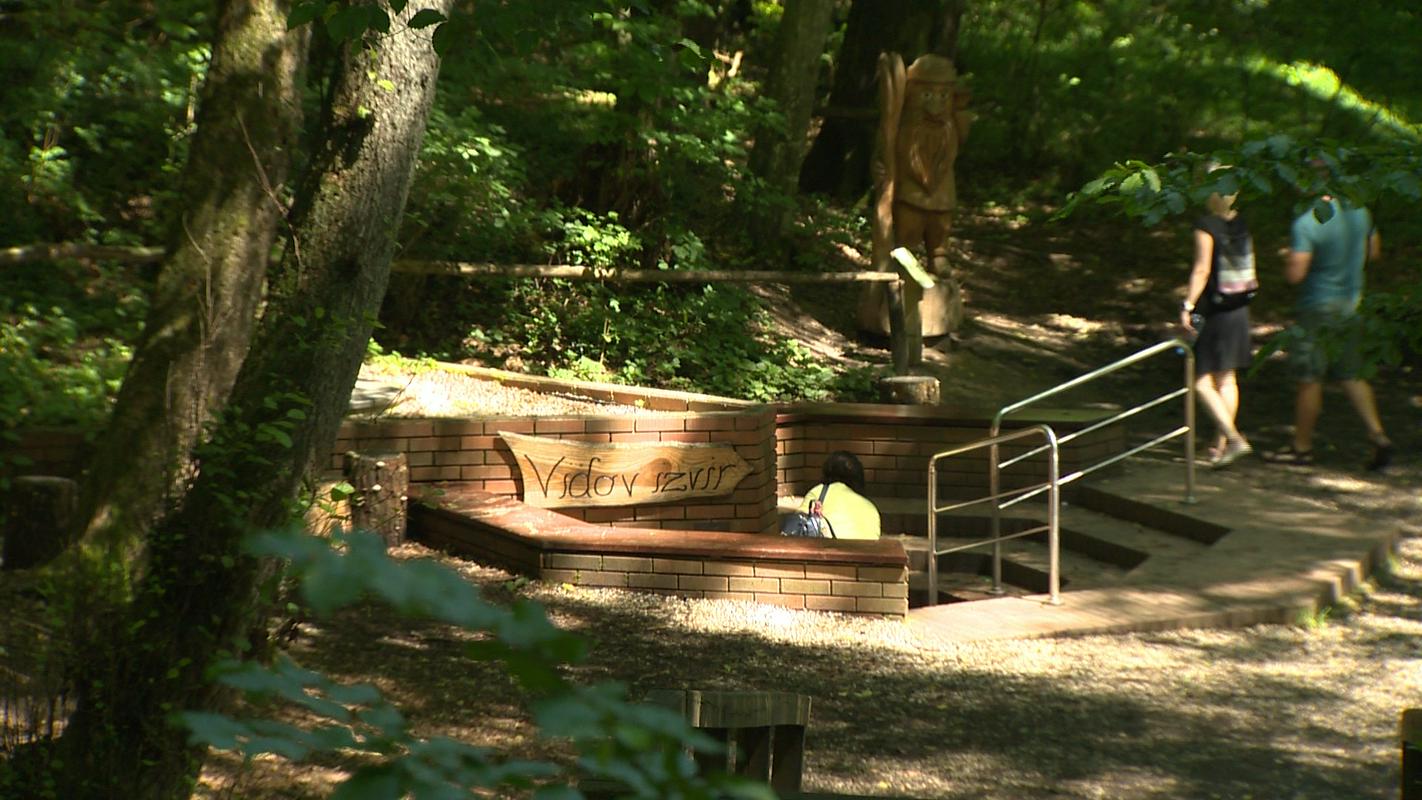 Gozd ponuja nekaj tudi za tiste, ki jih ribiški podvigi ne mikajo preveč. Foto: Televizija Slovenija Gozd ponuja nekaj tudi za tiste, ki jih ribiški podvigi ne mikajo preveč. Foto: Televizija Slovenija