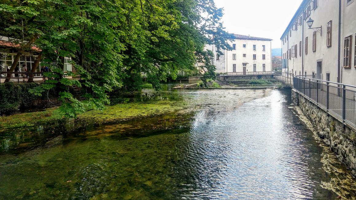 V reko Vipavo se počasi vrača tudi prej izjemno pestro naravno življenje. Foto: Radio Koper/Ivana Zajc
