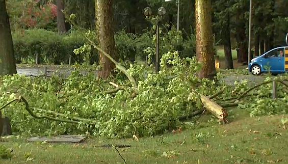 Foto: Televizija Slovenija Foto: Televizija Slovenija