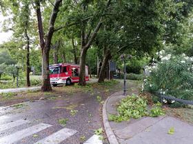 Fierce storm with strong winds hits western Slovenia