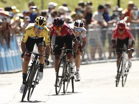 Roglič Wins 3-Day Tour de l'Ain in France