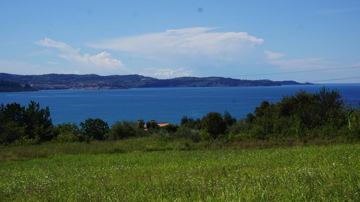 Foto: Rdeči križ