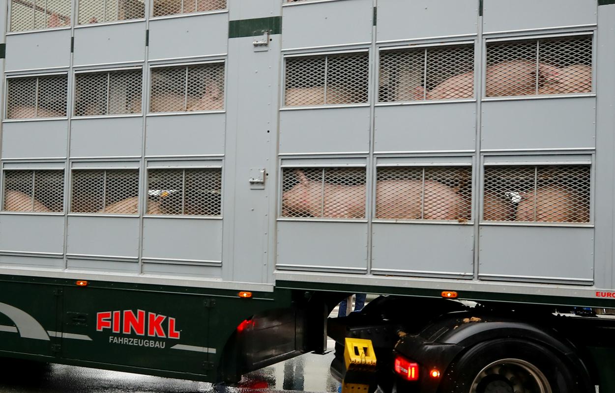 Trg vegetarijanskih in veganskih izdelkov že leta raste, saj številne kupce skrbi vpliv potrošnje mesa na okolje. Foto: Reuters Trg vegetarijanskih in veganskih izdelkov že leta raste, saj številne kupce skrbi vpliv potrošnje mesa na okolje. Foto: Reuters