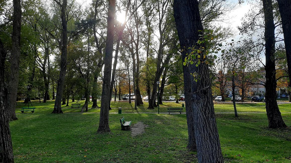 Šturski park se razteza med glavno prometnico skozi mesto in reko Hubelj. V poletnih mesecih s svojimi drevesi nudi prijeten prostor za posedanje na klopeh, v njem je urejeno tudi parkirišče. Foto: Radio Koper
