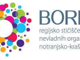 Z Boreom do uspešnega povezovanja nevladnih organizacij