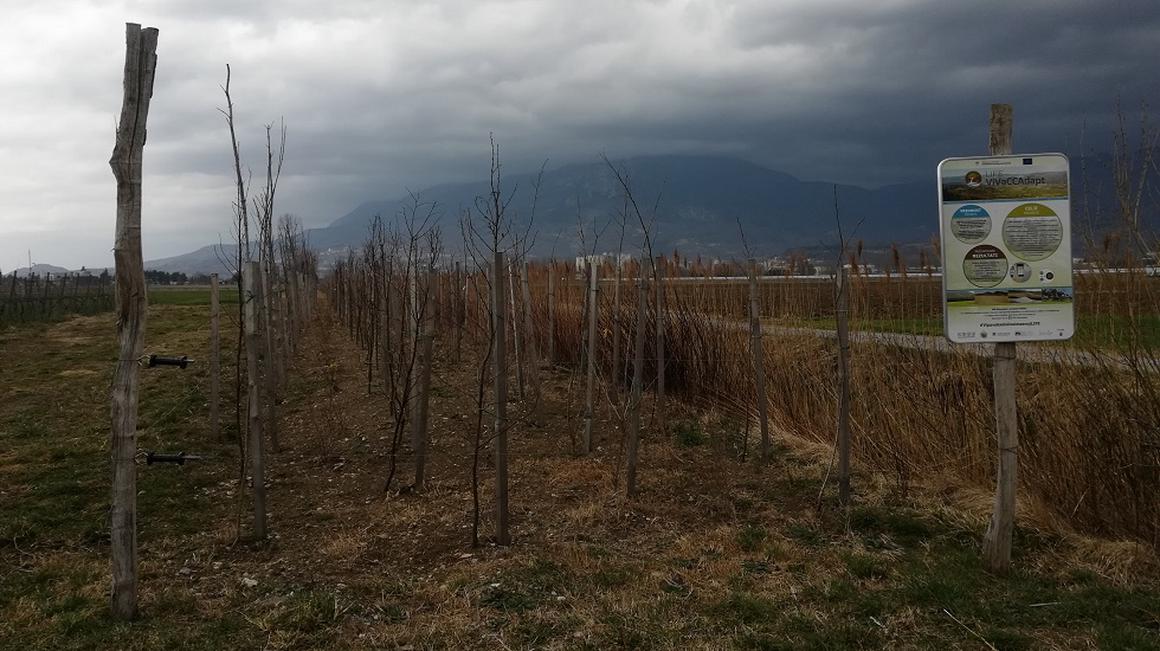 Foto: Radio Koper