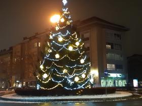 Smrečice lahko okrasijo tudi meščani