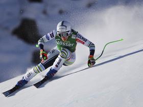 Zlata lisica ponovno v Kranjski Gori
