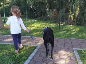 Psička Lija 'službuje' v ankaranskem vrtcu